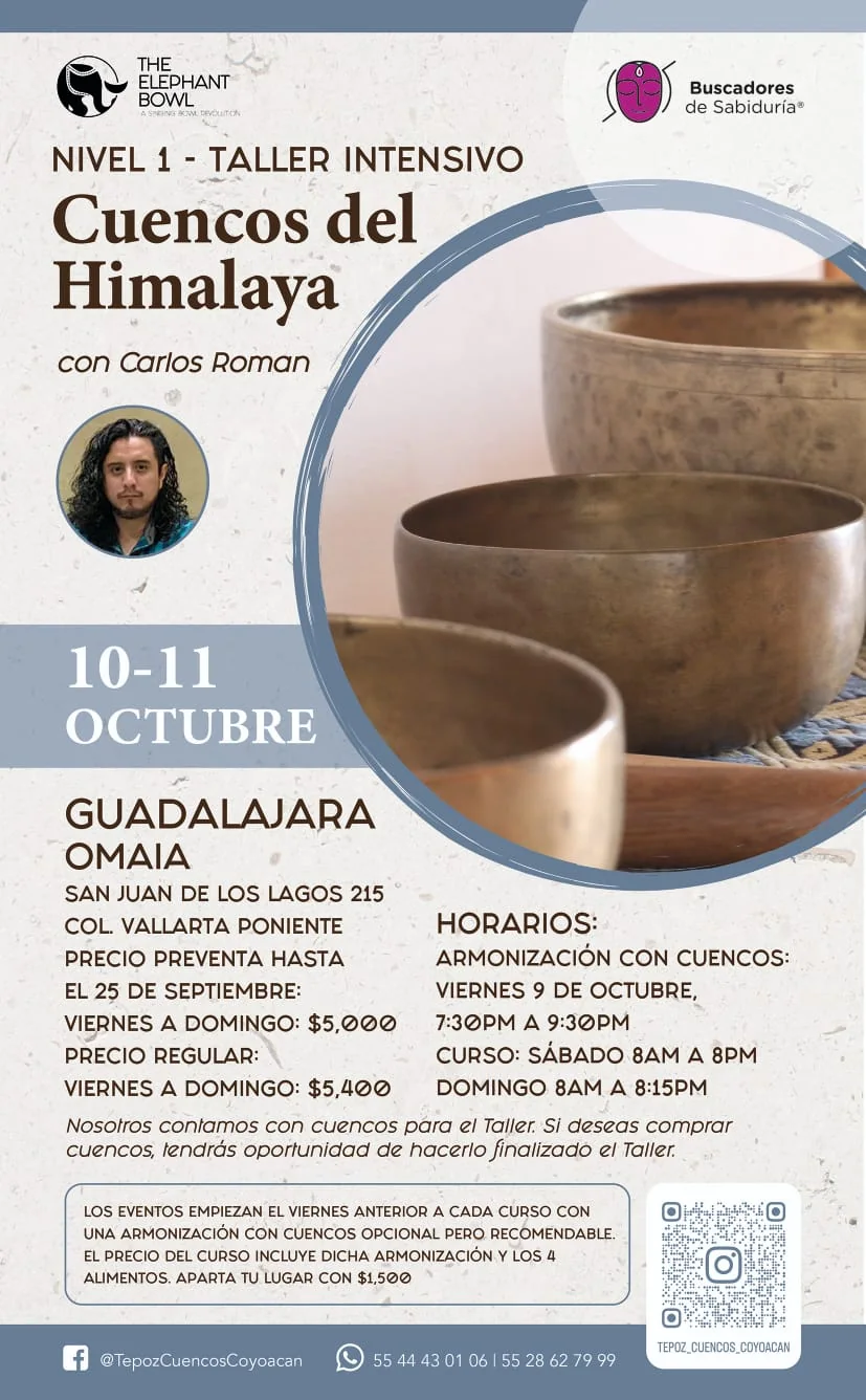 Cartel de Inmersión de sonido en Guadalajara
